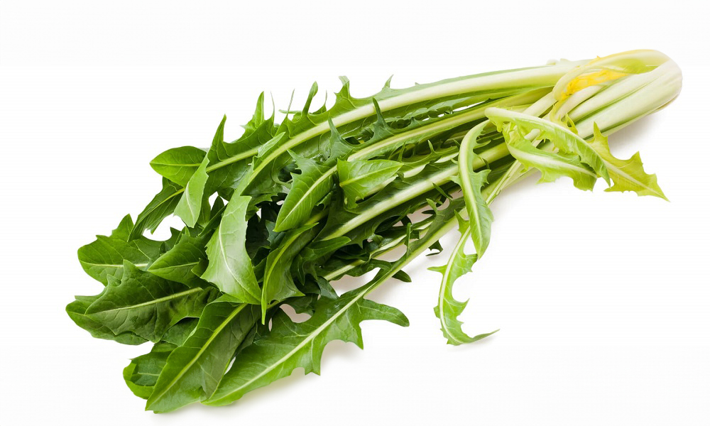 菊粉