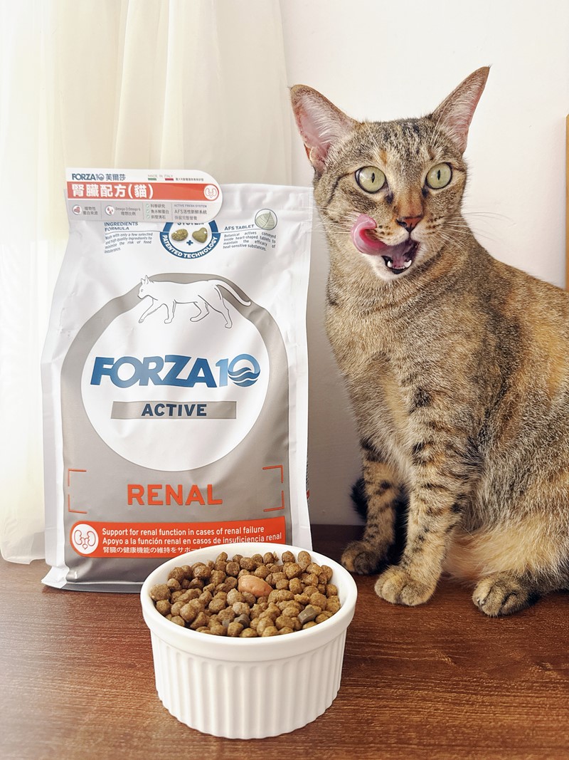 【熟齡貓照護日記】陪伴是最溫柔的時光，FORZA10 芙爾莎貓用腎臟配方體驗分享