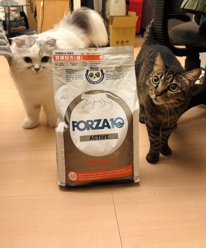 FORZA10 芙爾莎 腎臟配方(貓) 家裡寶貝的依靠          